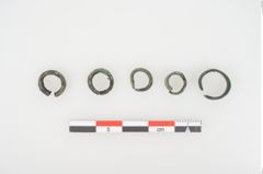 Foto von Bronzering (NHMW-PRAE-026654)